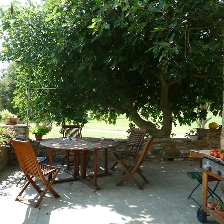 Podere Pian Di Cava Castelnuovo di Val di Cecina Exteriör bild
