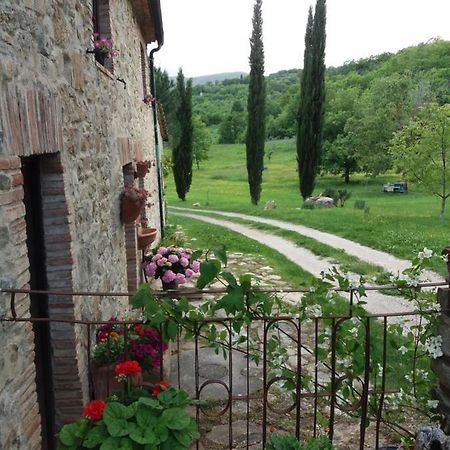 Podere Pian Di Cava Castelnuovo di Val di Cecina Exteriör bild