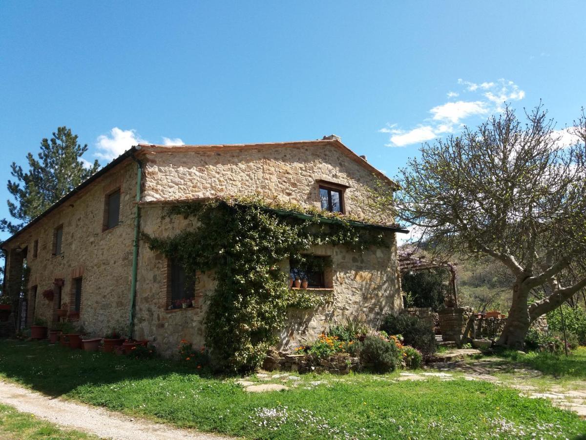 Podere Pian Di Cava Castelnuovo di Val di Cecina Exteriör bild
