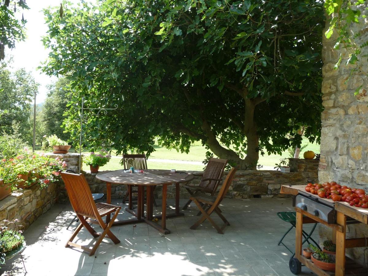 Podere Pian Di Cava Castelnuovo di Val di Cecina Exteriör bild