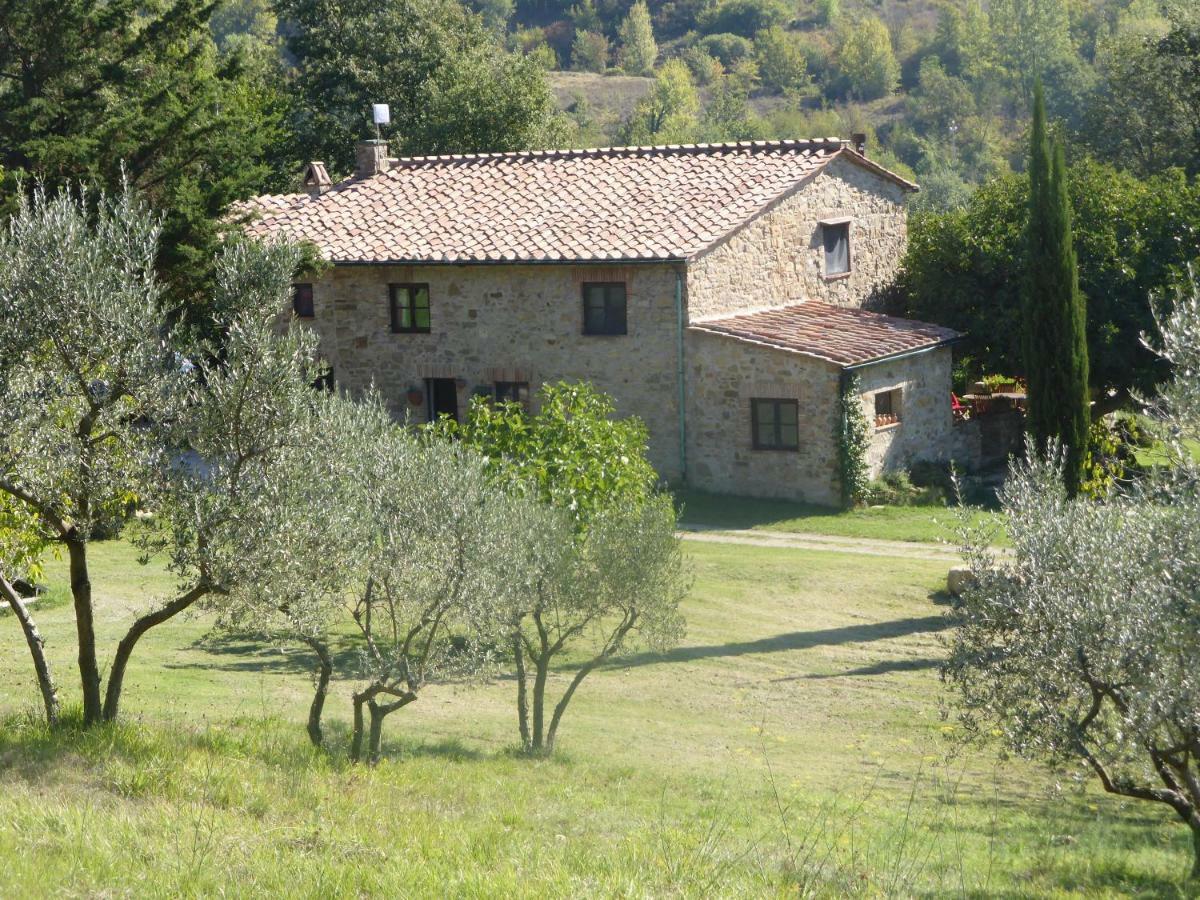 Podere Pian Di Cava Castelnuovo di Val di Cecina Exteriör bild