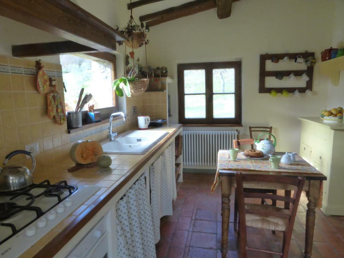 Podere Pian Di Cava Castelnuovo di Val di Cecina Exteriör bild
