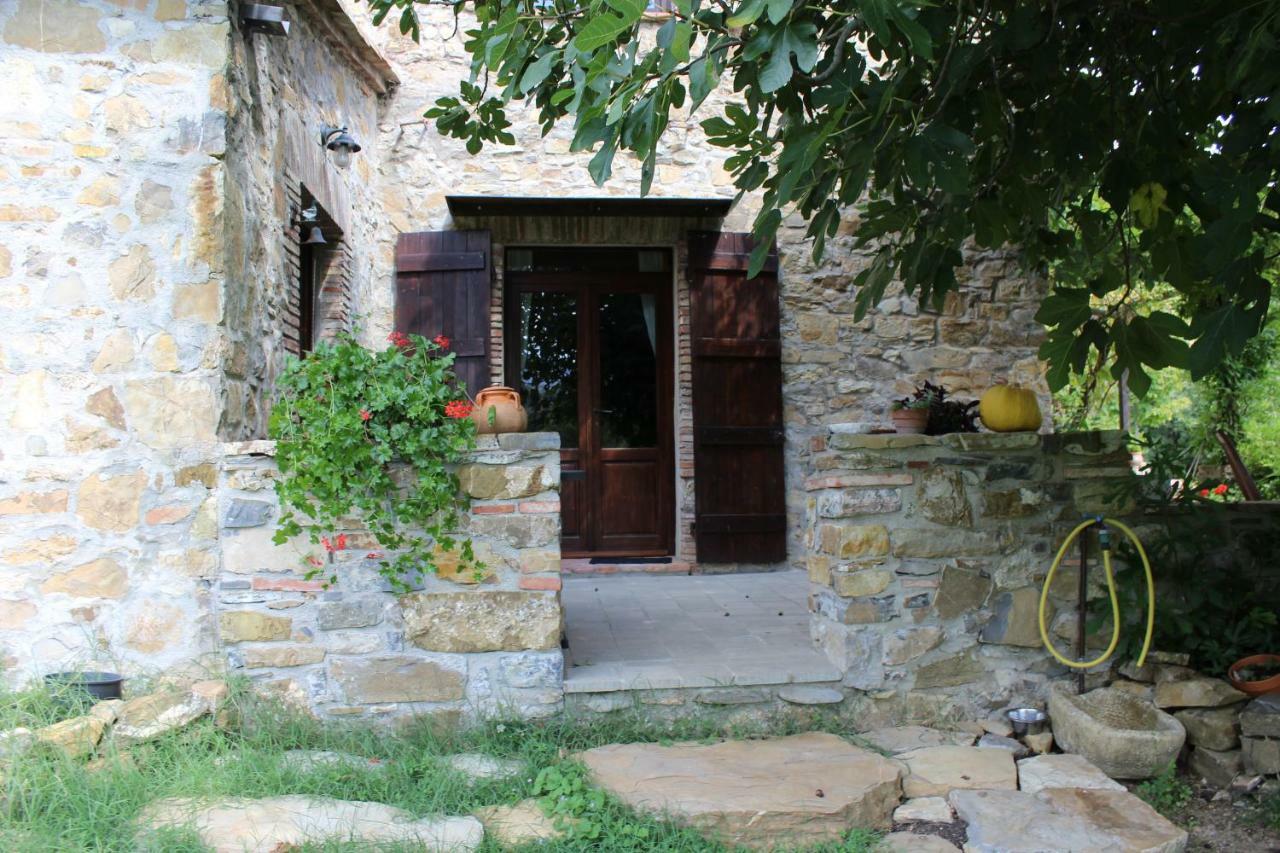 Podere Pian Di Cava Castelnuovo di Val di Cecina Exteriör bild
